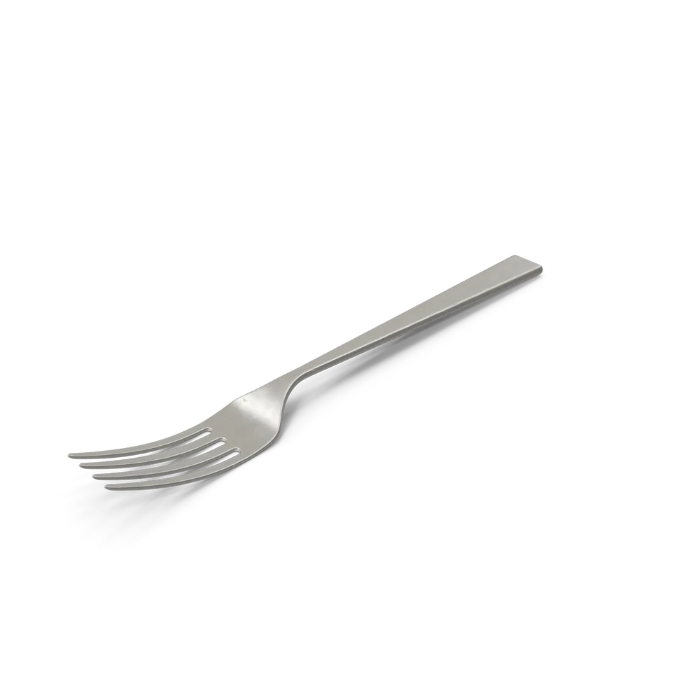 Fork - View 1