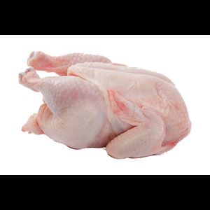 Chicken Meat