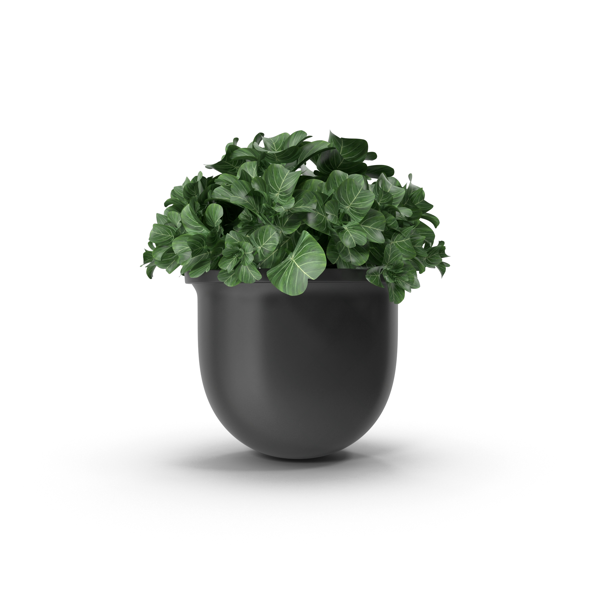 Plant Pot 2